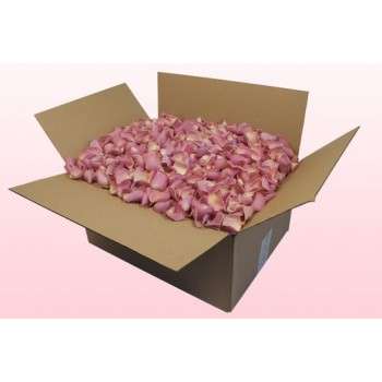 Pétalos de rosa de seda, 3000 pétalos, rosas -  España