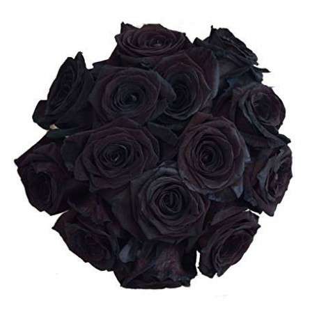 Ramo de rosas negras preservadas Cantidad 6 Rosas Color de la rosa Rojo