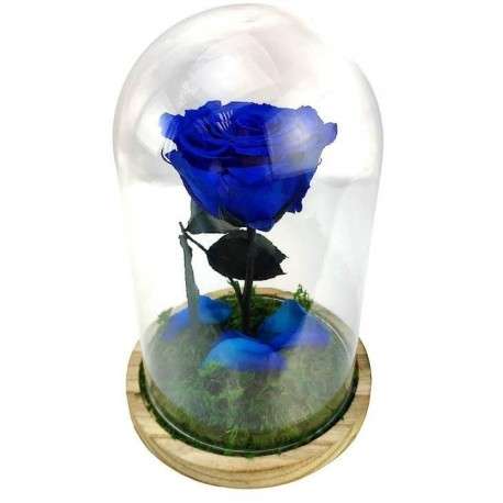 Rosa encantada azul - La Rosa de la Bella y la Bestia Tamaño Mini (17 cm)  Musgo decorativo en la base Sin musgo Placa en el interior con mensaje,  nombre o fecha