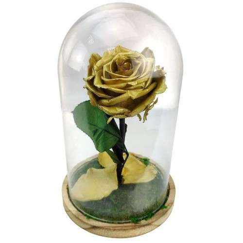Rosa encantada dorada - La Rosa de la Bella y la Bestia Tamaño Mini (17 cm)  Musgo decorativo en la base Sin musgo Placa en el interior con mensaje,  nombre o fecha