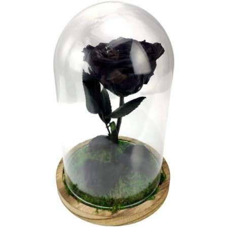 Rosa encantada negra - La Rosa de la Bella y la Bestia Tamaño Mini (17 cm)  Musgo decorativo en la base Sin musgo Placa en el interior con mensaje,  nombre o fecha Nada Con luces LED (A partir de 25 cm) No