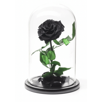 Cúpula Luxury Rosa Negra (30 cm)