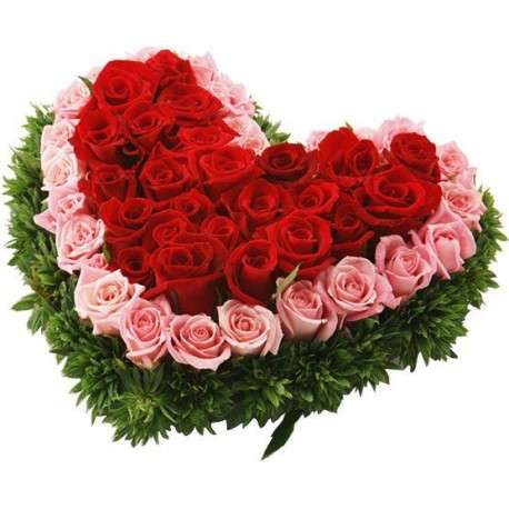 22 Rosas rosa eternas en caja forma corazón - Regalo Enamorados